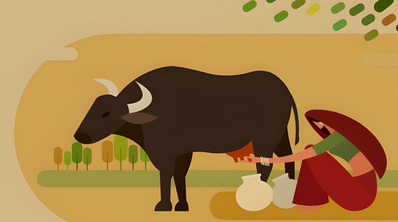 Exploring the WellHealth Organic Buffalo Milk Tag