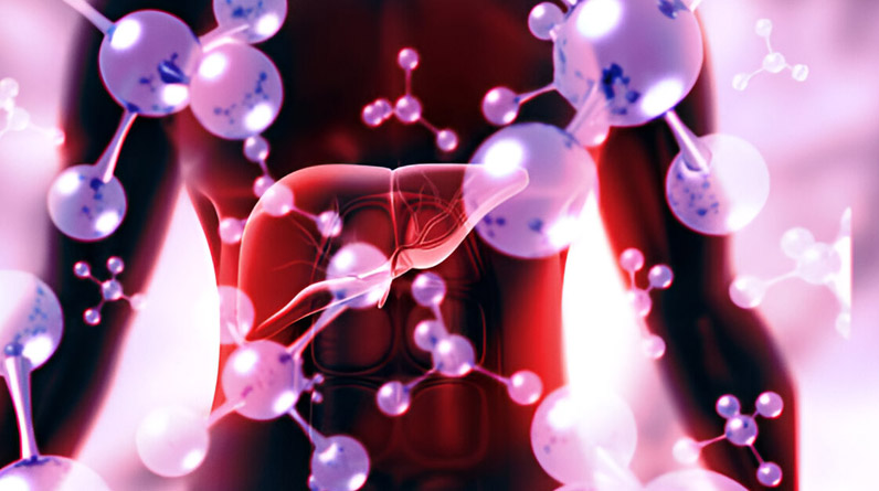 Understanding MASH: The Role of Preclinical Mouse Models