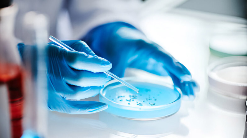Saglam Aile Laboratory – More Than Just a Lab