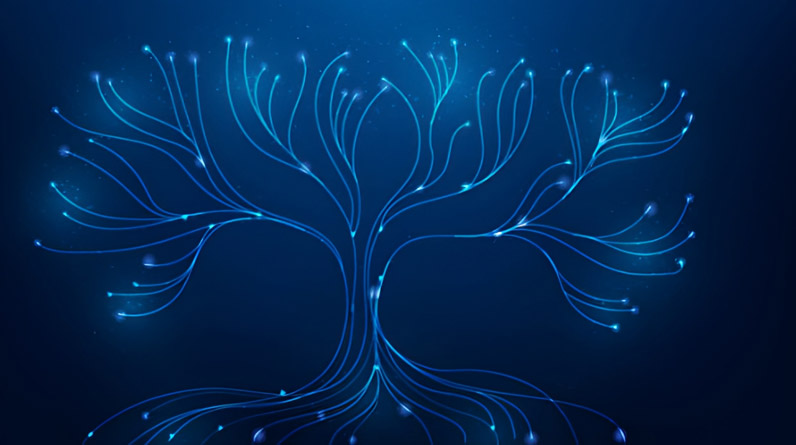 digital ecosystem