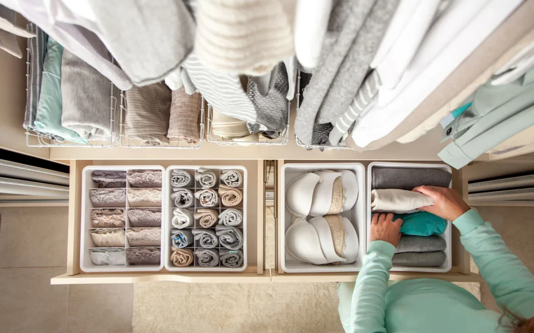 Professional Organizer 1080x675