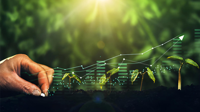 How Precision Agriculture Is Changing the Future of Farming in India