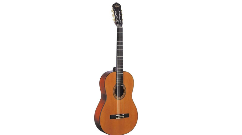 What Live Performers Look for in a Guitar Store What Live Performers Look for in a Guitar Store