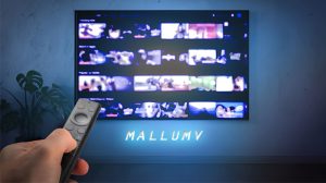 Mallumv Explained: Why It Keeps Changing & What Users Should Know
