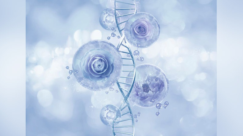 Liposomal Glutathione Benefits for Your Health
